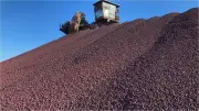 Vale: demanda forte por minério e cobre, guerra como risco