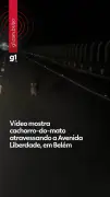 Vídeo: cachorro-do-mato atravessa avenida em Belém e assusta motoristas