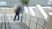 Vídeo flagra entrega de caixa com cachorro morto para vereadora no RS