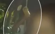 Vídeo mostra namorado bebendo antes de acidente que matou jovem em Franca