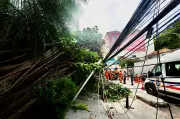 Vendaval no Rio: 90% da energia restabelecida, mas milhares ainda no escuro