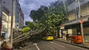 Ventania de 100 km/h assusta turistas e causa mortes no Rio
