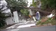 Ventania derruba árvores e destrói telhados em Mogi das Cruzes e Suzano
