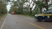 Ventos de até 99 km/h causam estragos em 16 cidades do RS