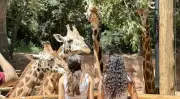 Zooparque Itatiba tem férias de julho com atividades interativas e educativas
