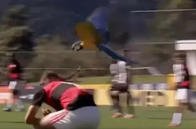 Arara ataca zagueiro do Flamengo e jogo do Sub-15 é interrompido