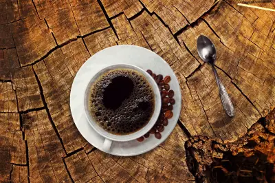 Café aumenta diversidade do microbioma intestinal, diz especialista