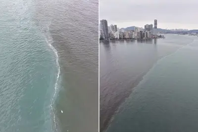 Drone registra mudança de cor no mar de Santos; entenda