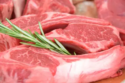 Exportações para UE crescem antes de embargo a carne e mel