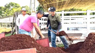Feira da Agricultura Familiar de Barreirinha capacita produtores e entrega SIM