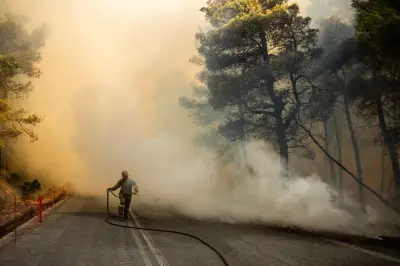 Grécia enfrenta incêndios que devastam 10 mil hectares; 3 mortos