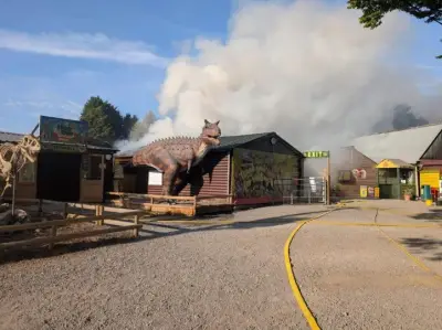 Incêndio em zoológico inglês mata animais; parque reabre