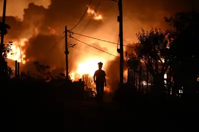 Incêndios florestais ameaçam vinhos com contaminação por fumaça