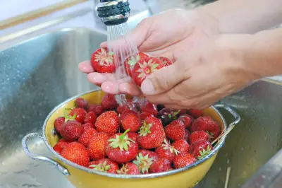 Morango: benefícios à saúde e receitas para aproveitar a fruta