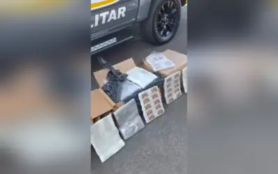 Motorista preso com 88 kg de maconha em caminhão na SP-280