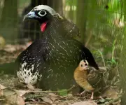 A alemã que fez do Parque das Aves uma atração do Paraná