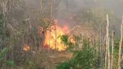 Alerta de incêndios no Vale do Paraíba e região bragantina