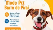Barra do Piraí recebe programa Modo Pet com banho e tosa gratuitos