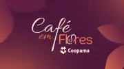 Café em Flores fortalece mulheres na cafeicultura durante 22ª Fenec