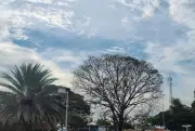 Calor e ar seco marcam a semana em Mato Grosso do Sul