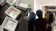 Canetas emagrecedoras apreendidas em Teresina; mulher é levada