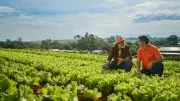 Cresol: 31 anos de cooperativismo e crédito rural no Brasil