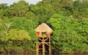 Dormir na Floresta Amazônica: conheça hotéis de selva e experiências