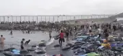 Fake news impulsionam travessia de migrantes para Ceuta