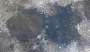 Foto da Lua de paraibano é escolhida pela NASA em projeto