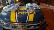 Homem é preso com mais de 32 kg de haxixe na BR-393 em Paraíba do Sul