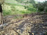 Incêndio atinge 1 hectare em Itaocara e é tratado como crime ambiental