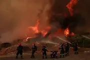 Incêndio florestal em Atenas entra no 4º dia