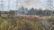 Mogi das Cruzes tem 3º incêndio em vegetação em menos de 24h