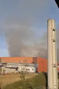 Mogi das Cruzes tem dois focos de incêndio em vegetação no domingo