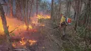 MT tem menor número de focos de calor em julho desde 1998