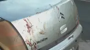 Mulher escapa de feminicídio se fingindo de morta em Serrana, SP