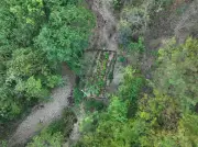PM apreende 411 pés de maconha em Chapada do Norte com uso de drones