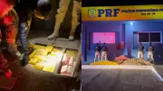 PRF apreende 273 kg de cocaína e skunk em fundo falso de carreta no Piauí