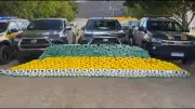 PRF apreende 450 kg de cocaína na BR-232 em Salgueiro