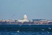 Senado dos EUA apresenta plano para evitar shutdown até dezembro