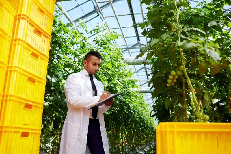 Agronegócio Catarinense: Como a Diversidade Produtiva Está Impulsionando a Economia do Estado