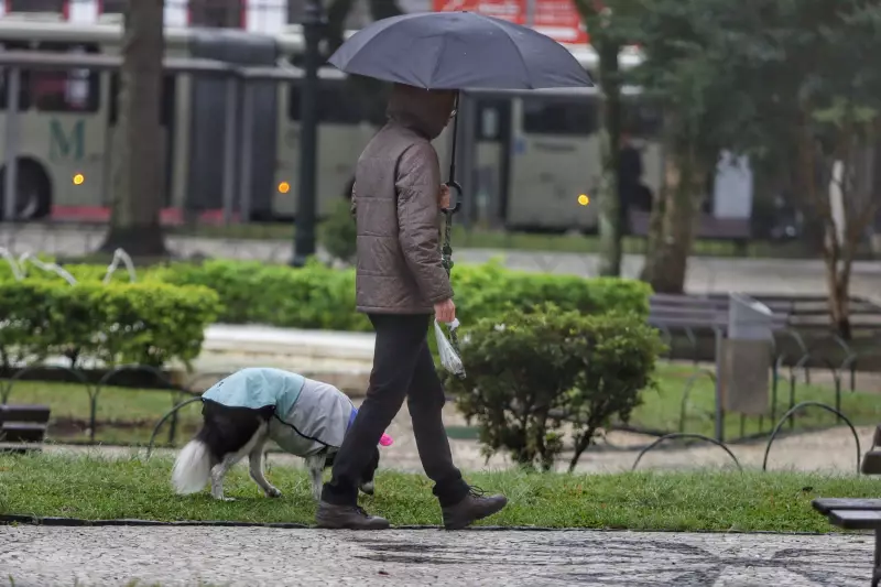 Alerta de chuvas intensas no Paraná: 98 cidades em risco com ventos de até 60 km/h