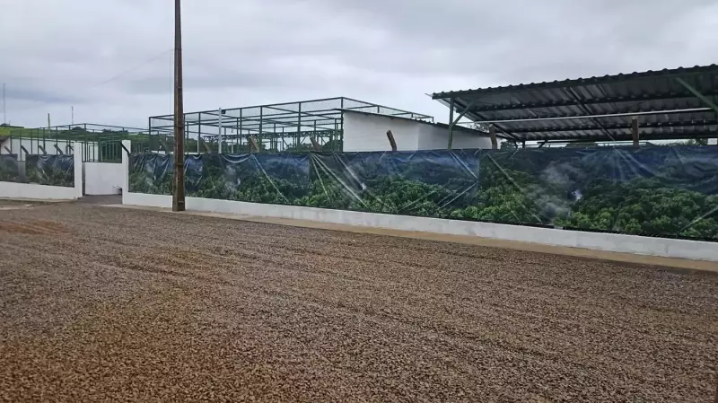 Amapá avança na exploração de petróleo: Governador e senadores celebram nova etapa