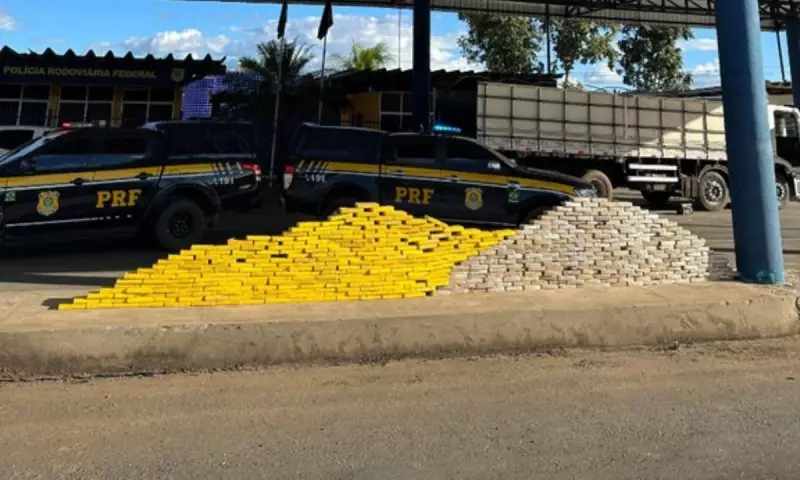 Apreensão de cocaína em caminhão na Bahia: carga avaliada em milhões é interceptada pela polícia