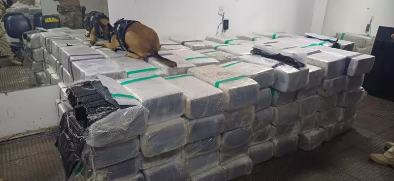 Apreensão recorde: 3 toneladas de maconha encontradas em caminhão na Via Dutra, em Resende