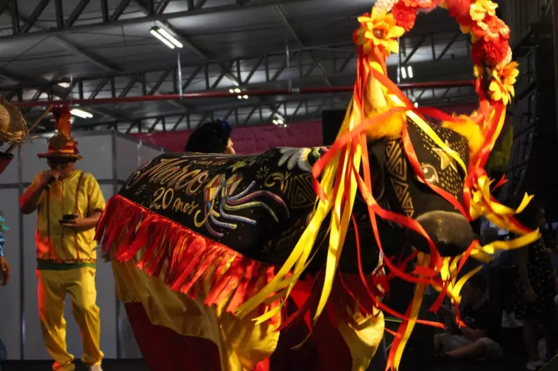 Arraial de Todos os Santos 2025: Confira a lista final dos folguedos juninos no Pará!