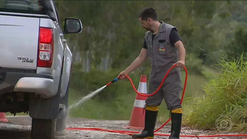 Biossegurança no Rio Grande do Sul: Como o estado está combatendo a gripe aviária