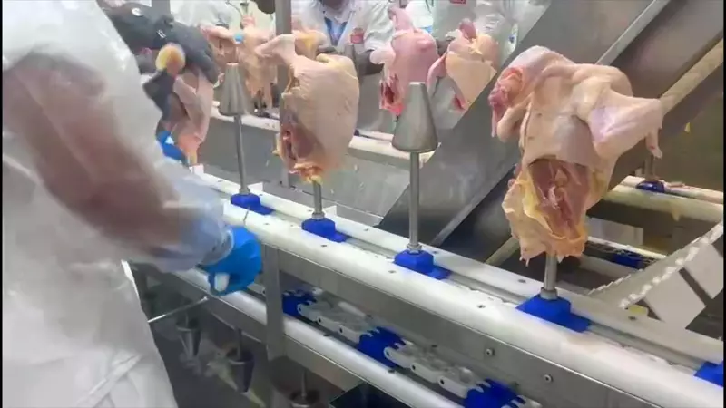 Bloqueio internacional ao frango brasileiro pode reduzir preço no mercado interno