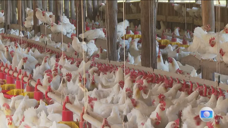 Brasil negocia com China para reduzir embargo à carne de frango e salvar exportações