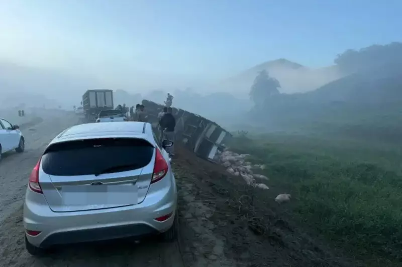 Caminhão tomba na BR-356 com mais de 100 porcos: veja o vídeo do acidente
